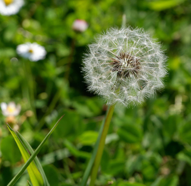 The Real Estate Agent Alphabet