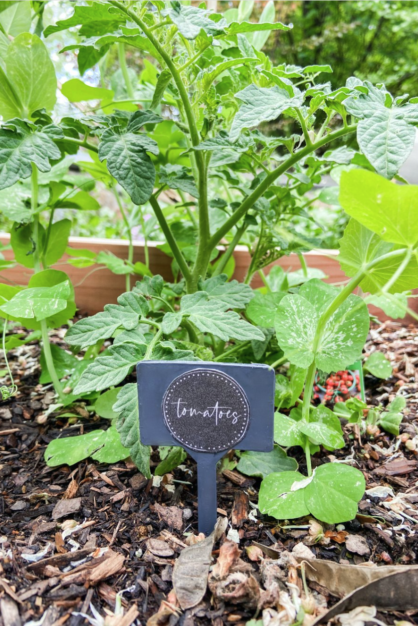 a garden with a black box