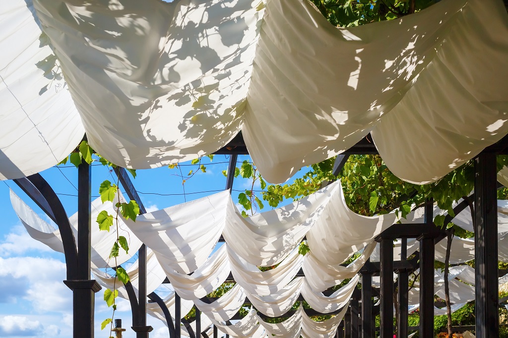 Dry season prep: Gardening tips for surviving the weather