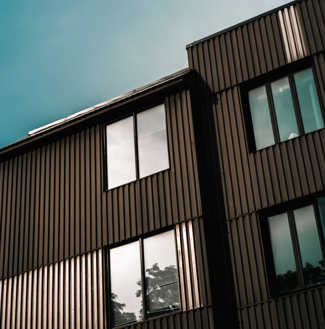 4 Primary Tips to Help You Buy Biodegradable Urns