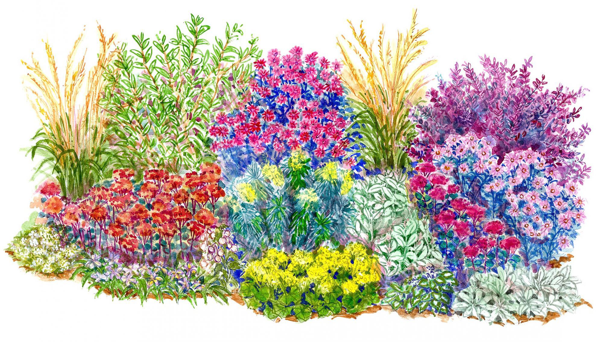 15 No-Fuss Garden Plans Filled with Plants That Thrive in Full Sun